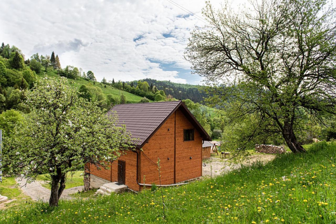 Villa Grace Oryavchyk Exteriör bild